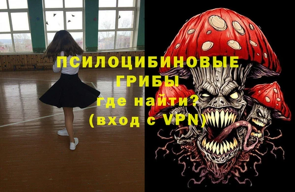 PSILOCYBIN Балабаново