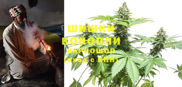 PSILOCYBIN Балабаново