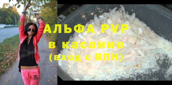 PSILOCYBIN Балабаново