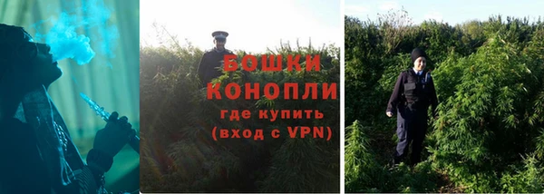 PSILOCYBIN Балабаново