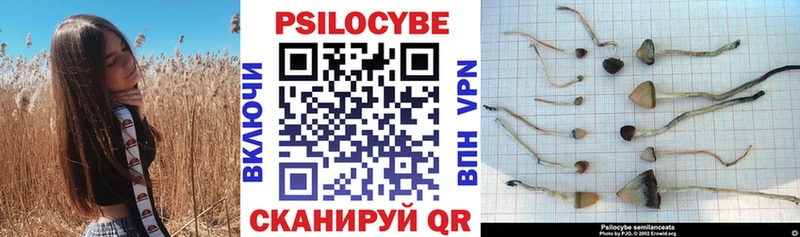 Галлюциногенные грибы мухоморы площадка официальный сайт Новоржев